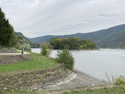 Rheinblick