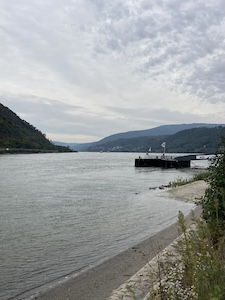 Rheinblick